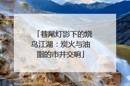 巷尾灯影下的烧鸟江湖：炭火与油脂的市井交响